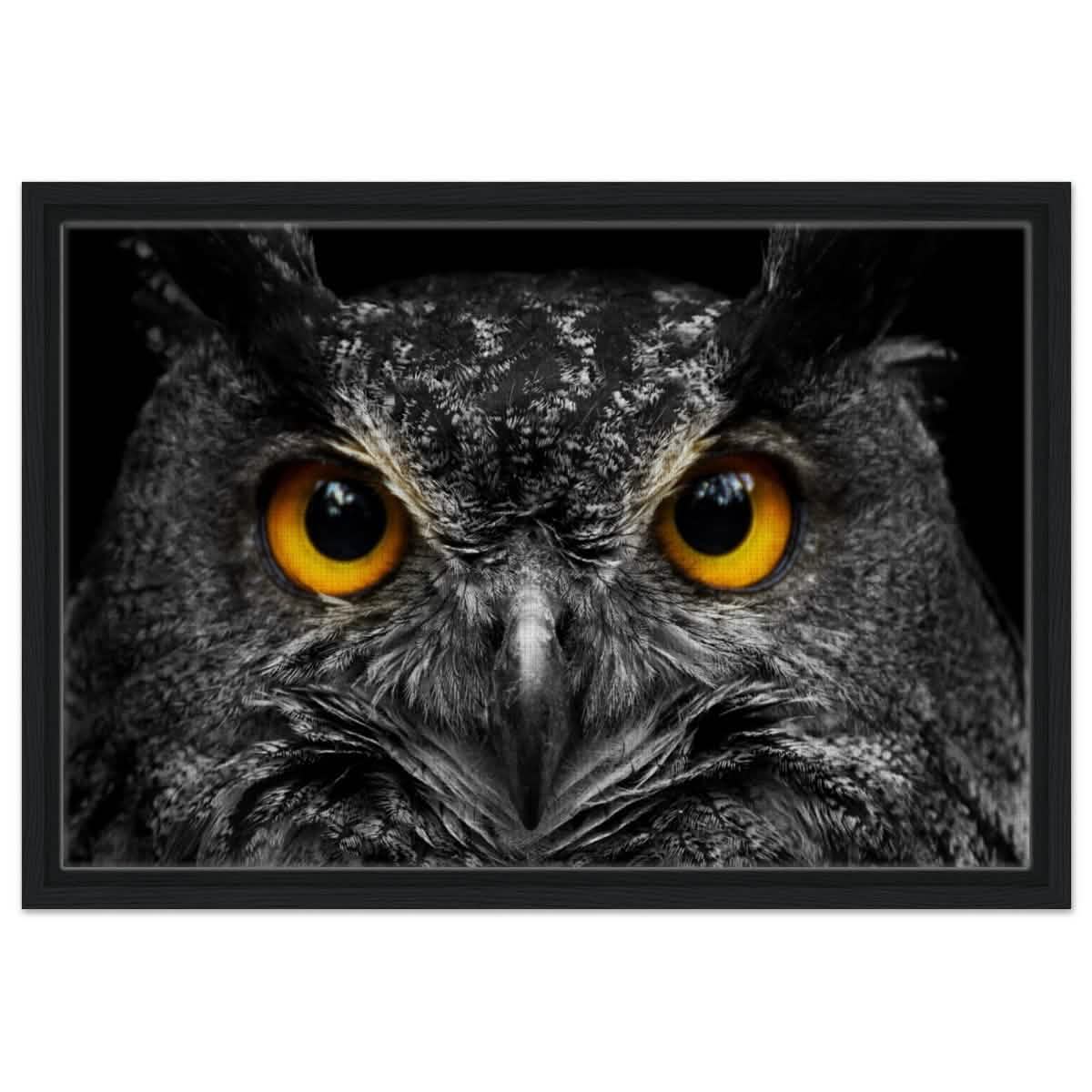 Da Vinci Animal Kingdom Art Wall art print | Night Owl eyes - Framed Canvas - 40x60 cm / 16x24″ - Black frame