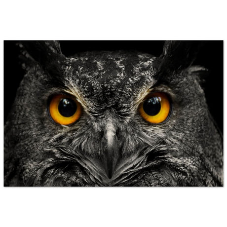 Da Vinci Animal Kingdom Art Wall art print | Night Owl eyes - Wood Prints - 60x90 cm / 24x36″ -