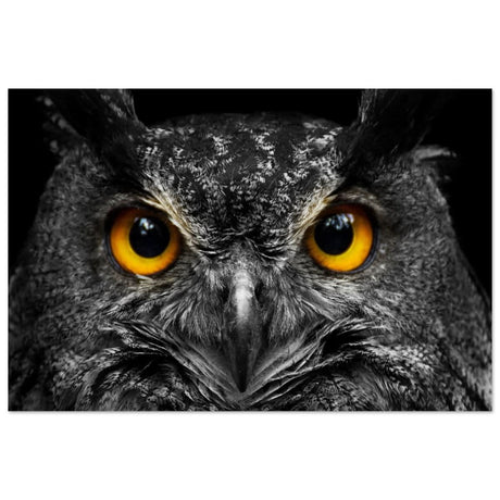 Da Vinci Animal Kingdom Art Wall art print | Night Owl eyes - Aluminum Print - 60x90 cm / 24x36″ -
