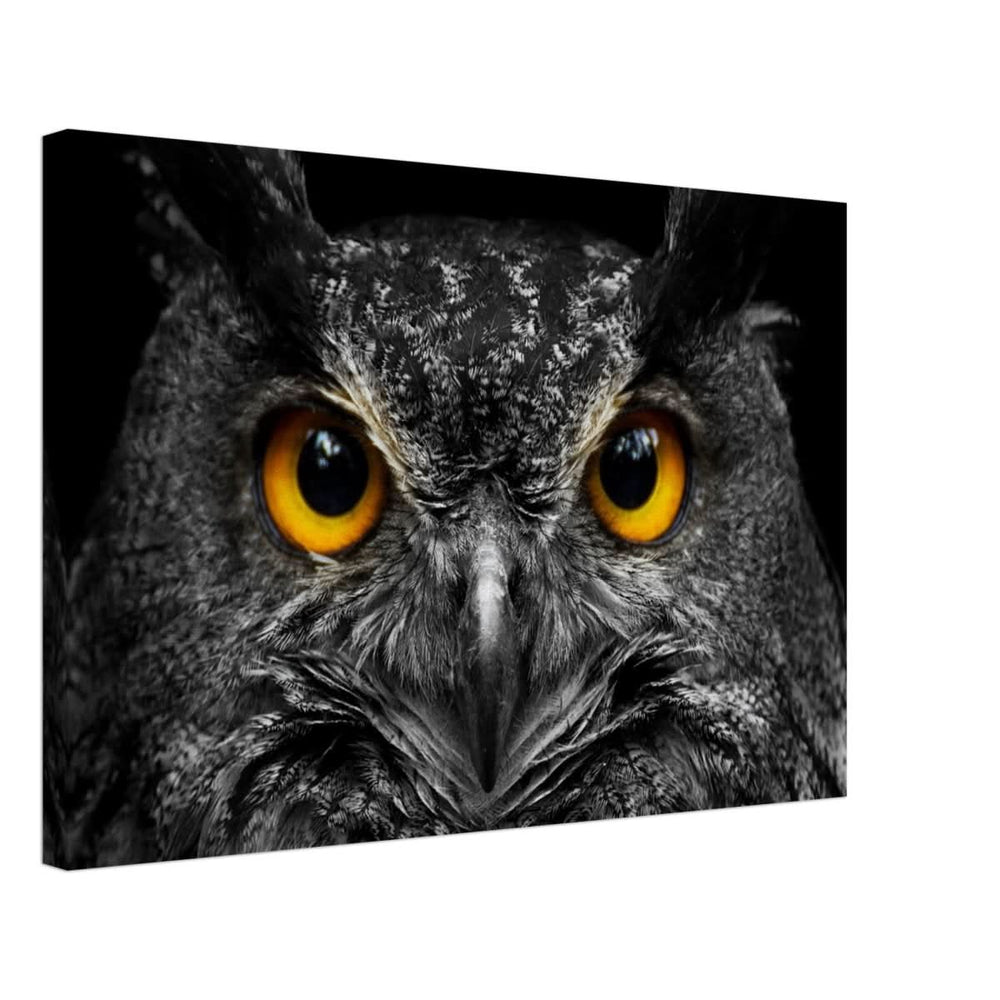 Da Vinci Animal Kingdom Art Wall art print | Night Owl eyes - Canvas - 40x60 cm / 16x24″ -