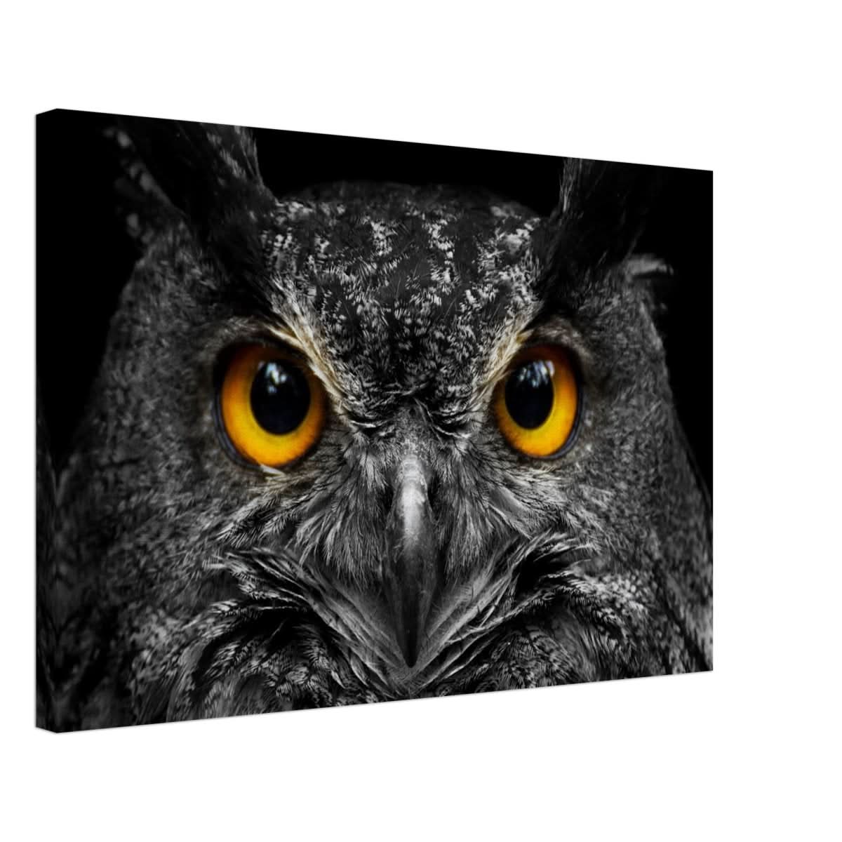 Da Vinci Animal Kingdom Art Wall art print | Night Owl eyes - Canvas - 40x60 cm / 16x24″ -