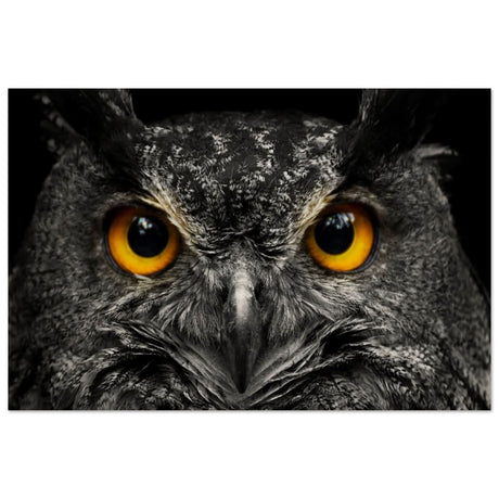 Da Vinci Animal Kingdom Art Wall art print | Night Owl eyes - Wood Prints - 50x75 cm / 20x30″ -
