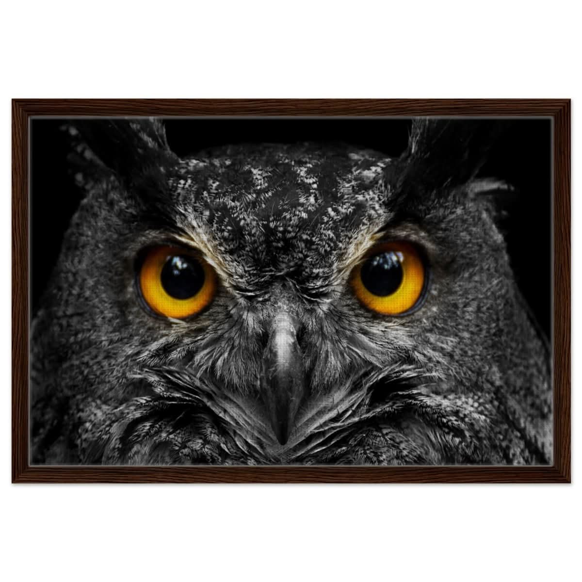 Da Vinci Animal Kingdom Art Wall art print | Night Owl eyes - Framed Canvas - 50x75 cm / 20x30″ - Dark wood frame