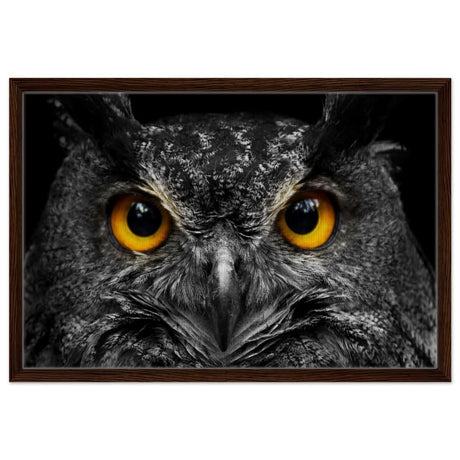 Da Vinci Animal Kingdom Art Wall art print | Night Owl eyes - Framed Canvas - 50x75 cm / 20x30″ - Dark wood frame