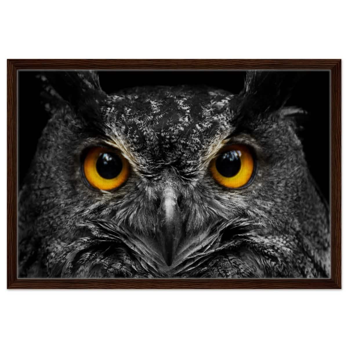Da Vinci Animal Kingdom Art Wall art print | Night Owl eyes - Framed Canvas - 50x75 cm / 20x30″ - Dark wood frame