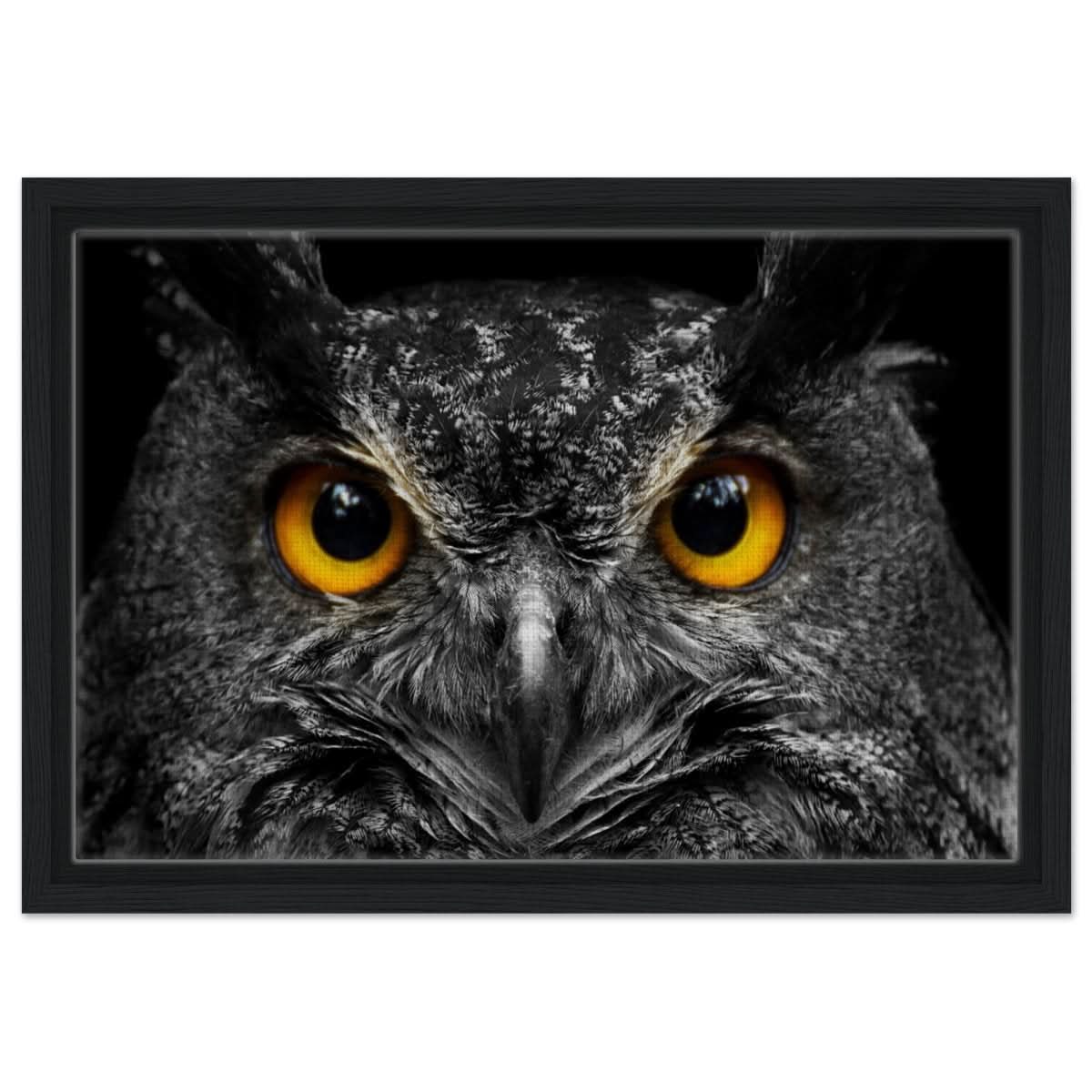 Da Vinci Animal Kingdom Art Wall art print | Night Owl eyes - Framed Canvas - 30x45 cm / 12x18″ - Black frame