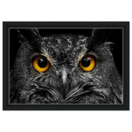 Da Vinci Animal Kingdom Art Wall art print | Night Owl eyes - Framed Canvas - 30x45 cm / 12x18″ - Black frame
