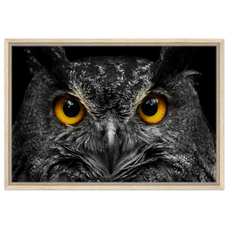 Da Vinci Animal Kingdom Art Wall art print | Night Owl eyes - Framed Canvas - 50x75 cm / 20x30″ - Wood frame