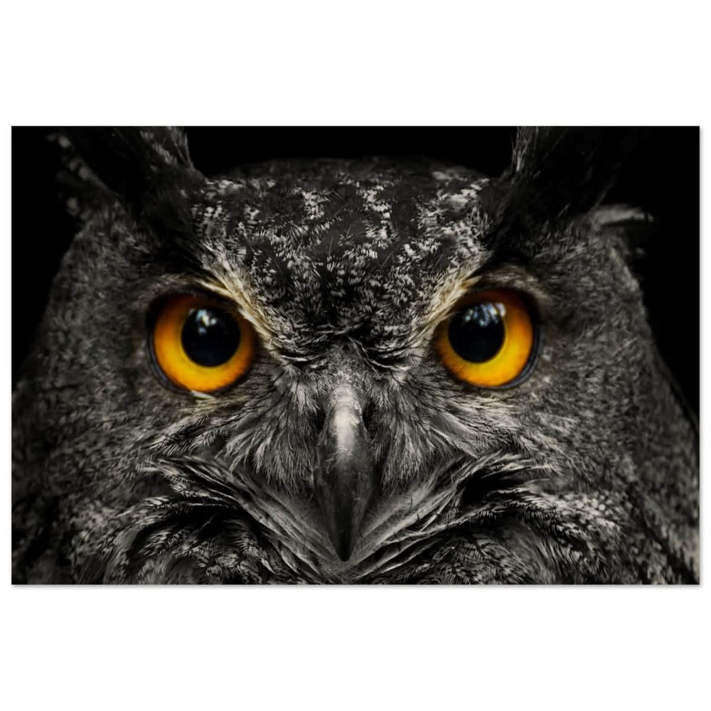 Da Vinci Animal Kingdom Art Wall art print | Night Owl eyes - Wood Prints - 40x60 cm / 16x24″ -