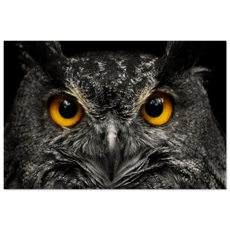Da Vinci Animal Kingdom Art Wall art print | Night Owl eyes - Wood Prints - 40x60 cm / 16x24″ -