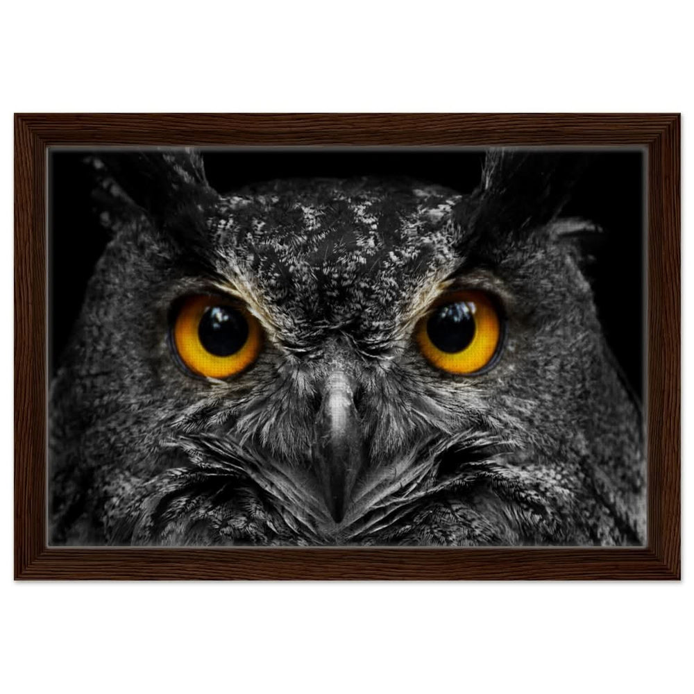 Da Vinci Animal Kingdom Art Wall art print | Night Owl eyes - Framed Canvas - 30x45 cm / 12x18″ - Dark wood frame