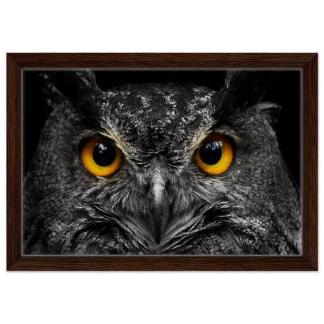 Da Vinci Animal Kingdom Art Wall art print | Night Owl eyes - Framed Canvas - 30x45 cm / 12x18″ - Dark wood frame