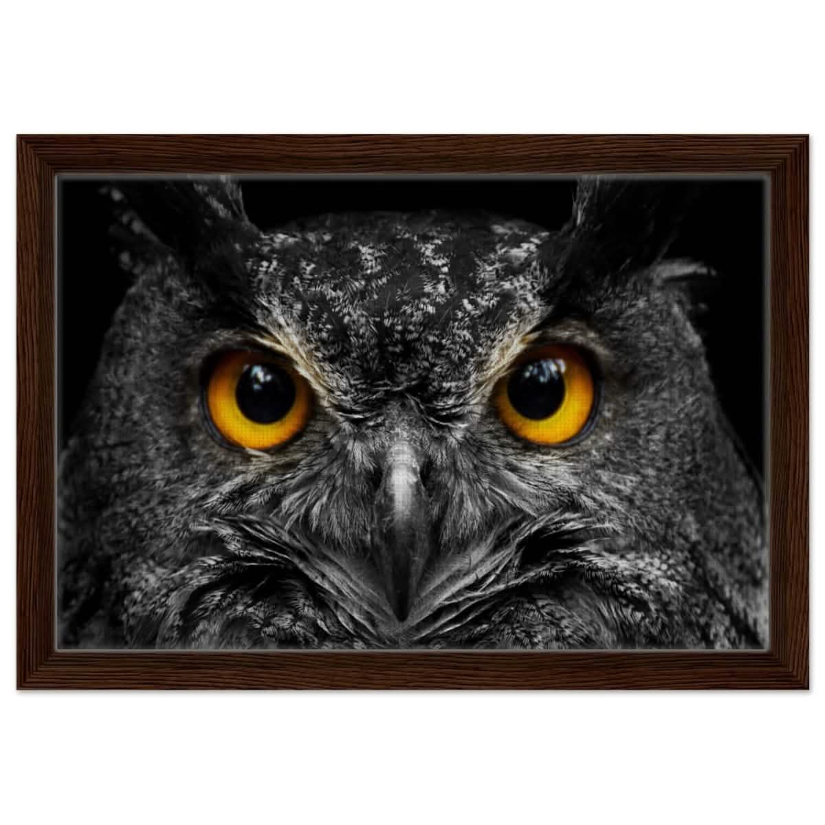 Da Vinci Animal Kingdom Art Wall art print | Night Owl eyes - Framed Canvas - 30x45 cm / 12x18″ - Dark wood frame