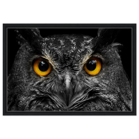 Da Vinci Animal Kingdom Art Wall art print | Night Owl eyes - Framed Canvas - 50x75 cm / 20x30″ - Black frame