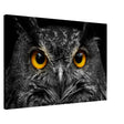 Da Vinci Animal Kingdom Art Wall art print | Night Owl eyes - Canvas - 60x90 cm / 24x36″ -