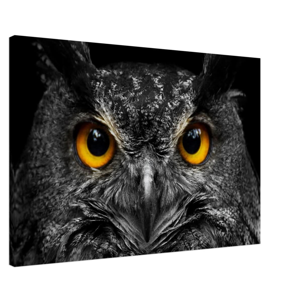 Da Vinci Animal Kingdom Art Wall art print | Night Owl eyes - Canvas - 60x90 cm / 24x36″ -