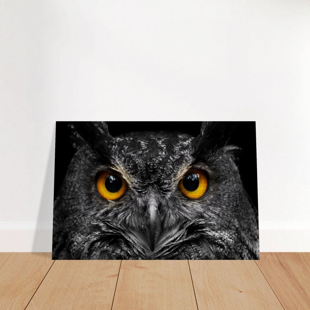 Da Vinci Animal Kingdom Art Wall art print | Night Owl eyes - Brushed Aluminum Print - 50x75 cm / 20x30″ -