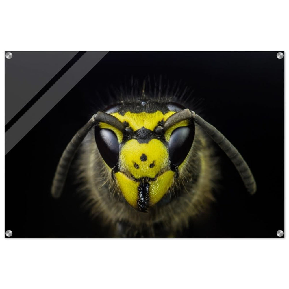 Da Vinci Animal Kingdom Art Wall art print - Acrylic Print - 60x90 cm / 24x36″ -