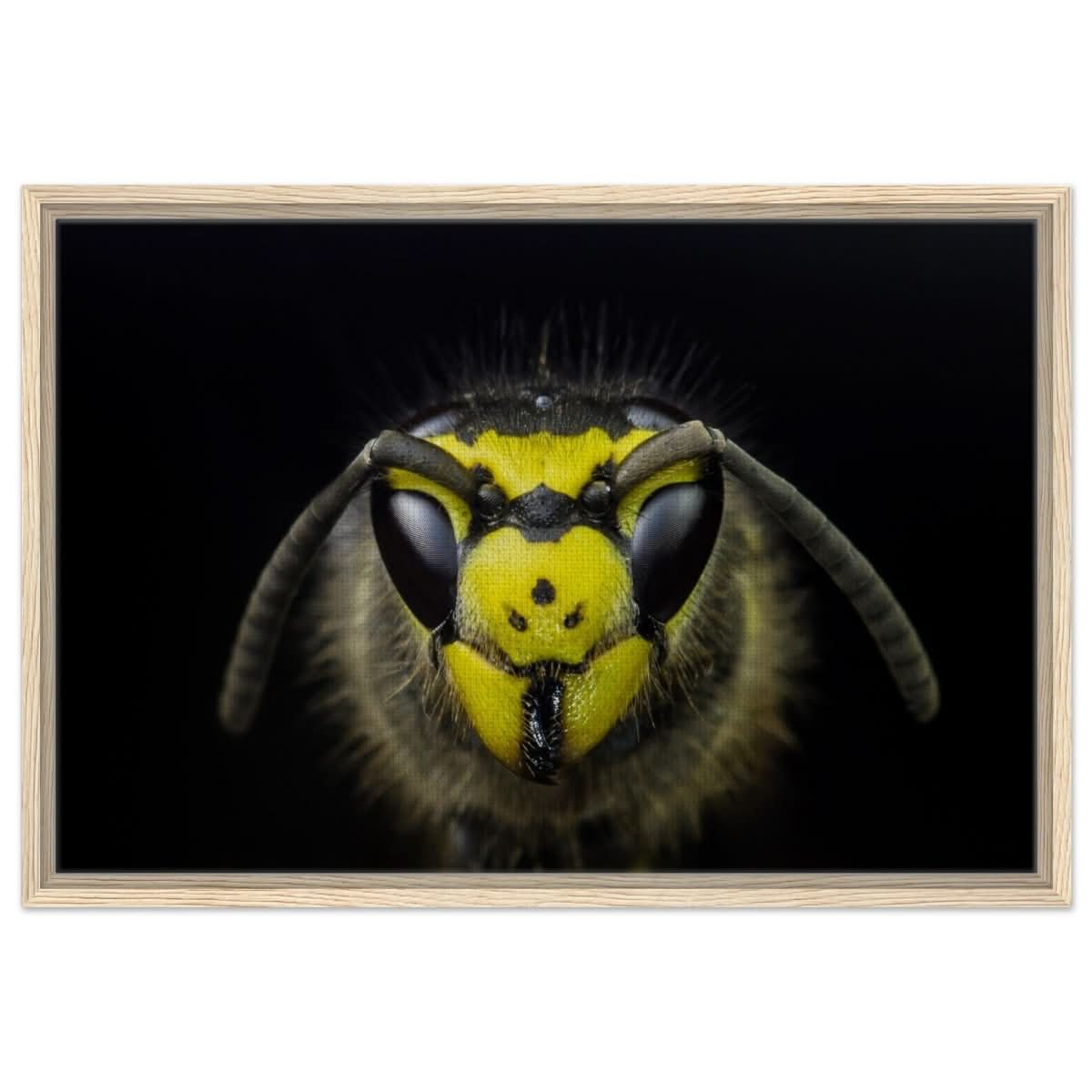 Da Vinci Animal Kingdom Art Wall art print - Framed Canvas - 50x75 cm / 20x30″ - Wood frame