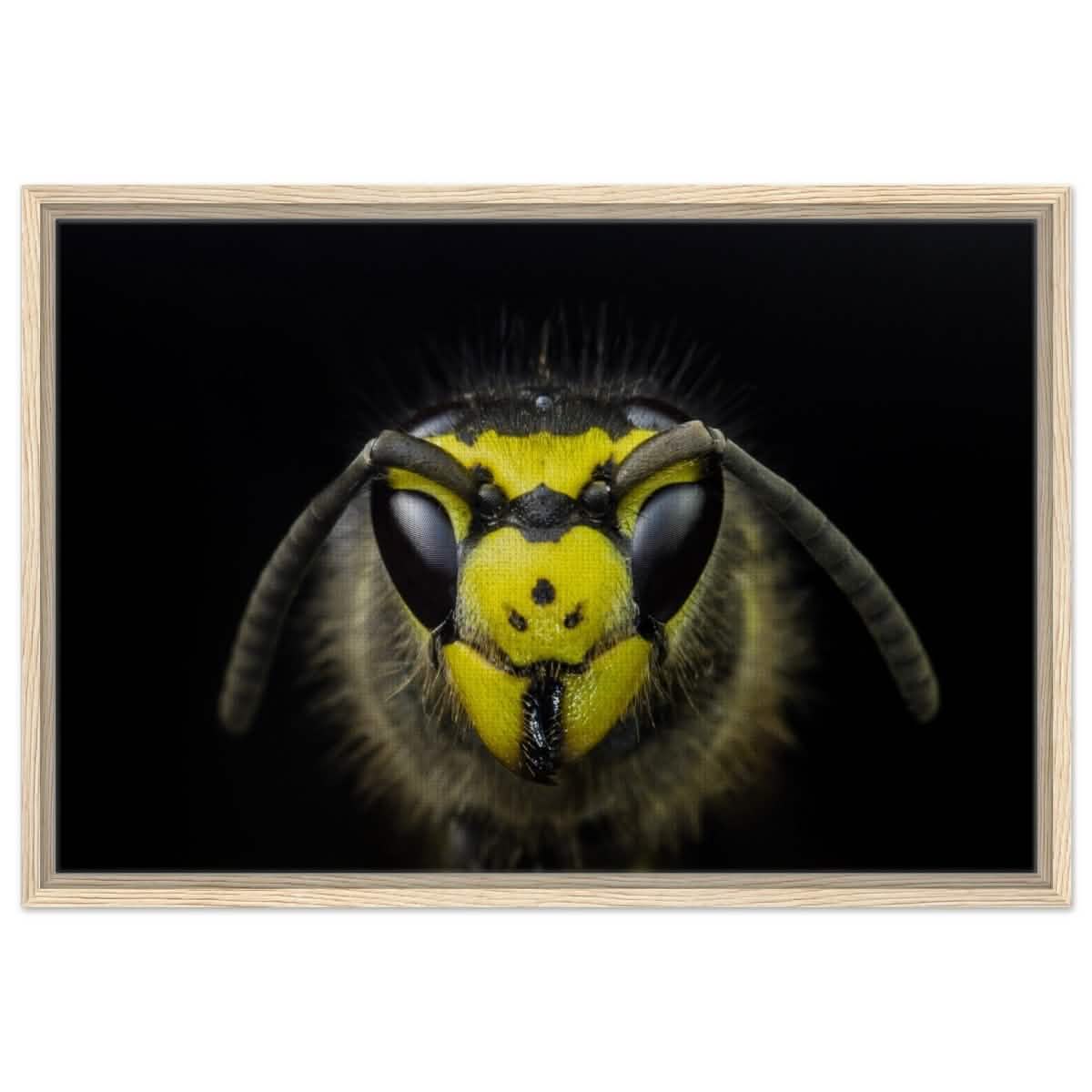 Da Vinci Animal Kingdom Art Wall art print - Framed Canvas - 50x75 cm / 20x30″ - Wood frame