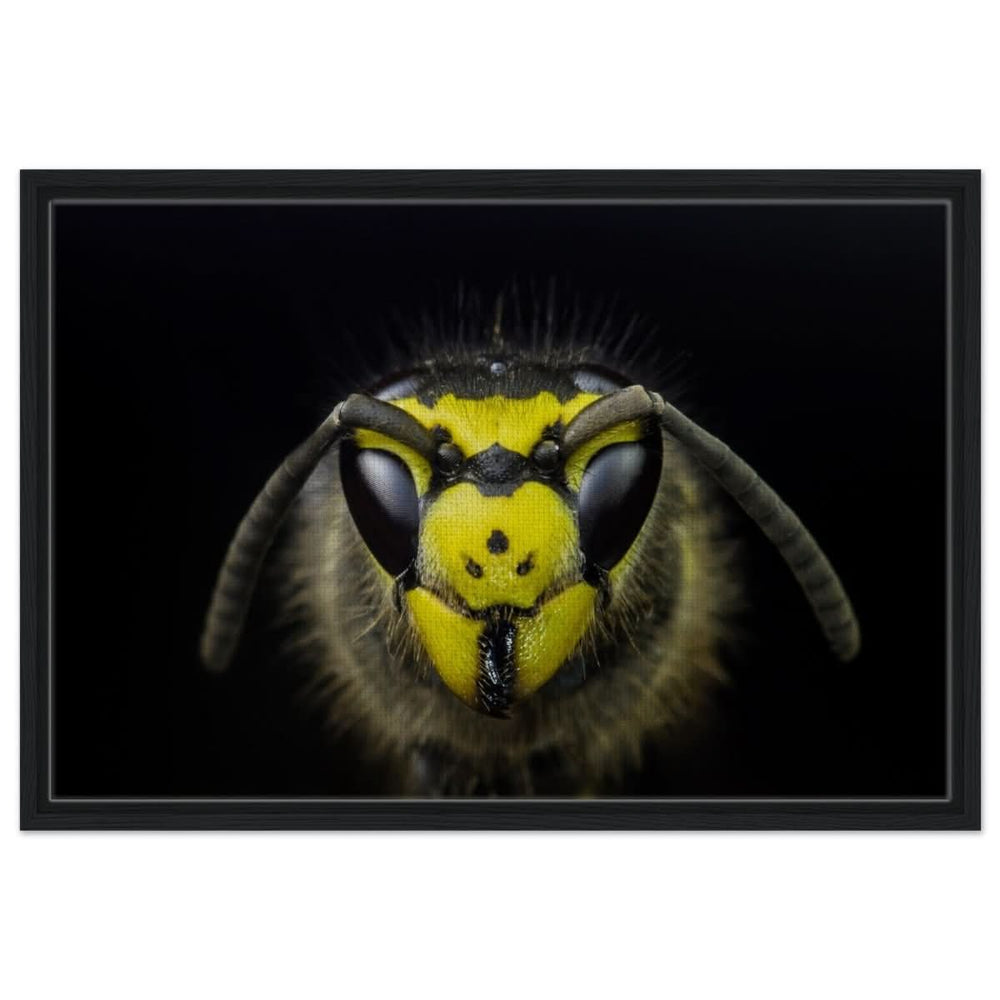 Da Vinci Animal Kingdom Art Wall art print - Framed Canvas - 50x75 cm / 20x30″ - Black frame