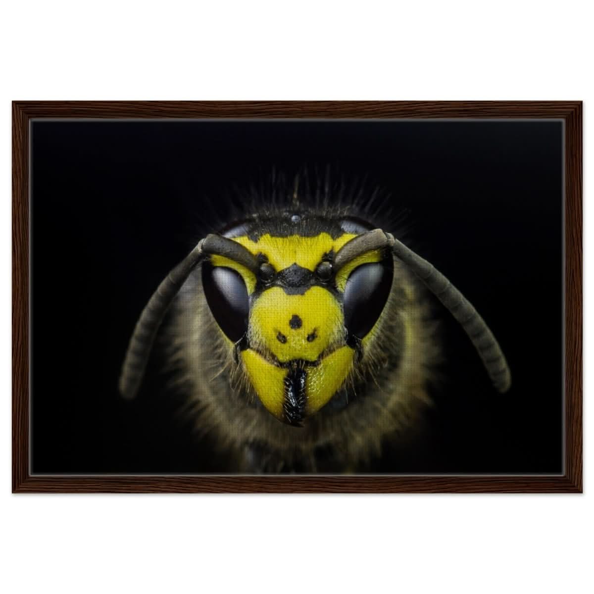 Da Vinci Animal Kingdom Art Wall art print - Framed Canvas - 50x75 cm / 20x30″ - Dark wood frame