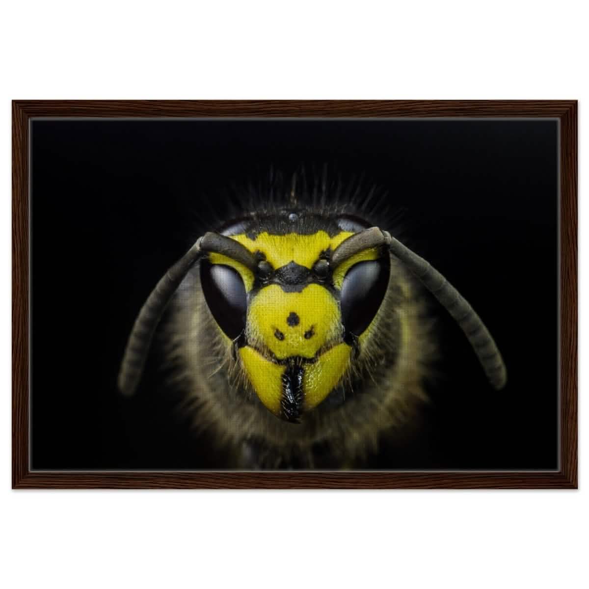 Da Vinci Animal Kingdom Art Wall art print - Framed Canvas - 50x75 cm / 20x30″ - Dark wood frame
