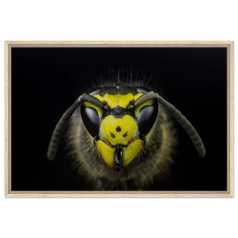 Da Vinci Animal Kingdom Art Wall art print - Framed Canvas - 60x90 cm / 24x36″ - Wood frame