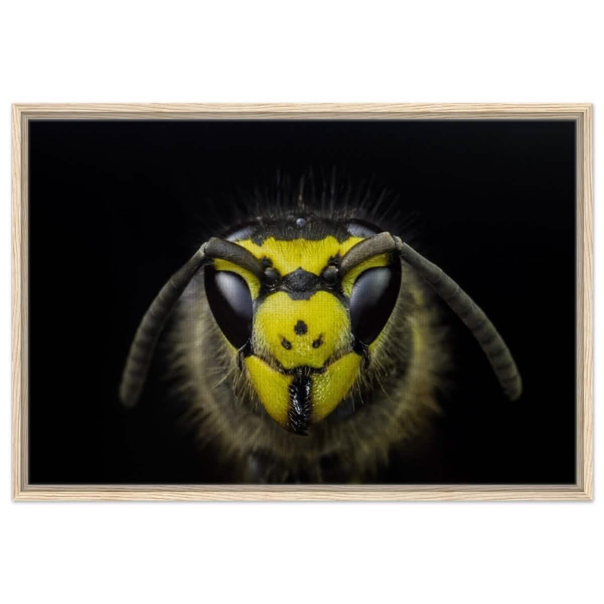 Da Vinci Animal Kingdom Art Wall art print - Framed Canvas - 60x90 cm / 24x36″ - Wood frame