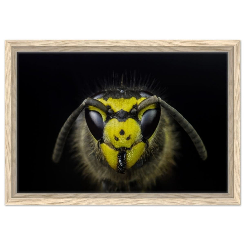 Da Vinci Animal Kingdom Art Wall art print - Framed Canvas - 30x45 cm / 12x18″ - Wood frame