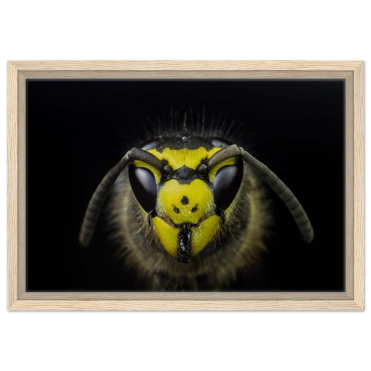 Da Vinci Animal Kingdom Art Wall art print - Framed Canvas - 30x45 cm / 12x18″ - Wood frame