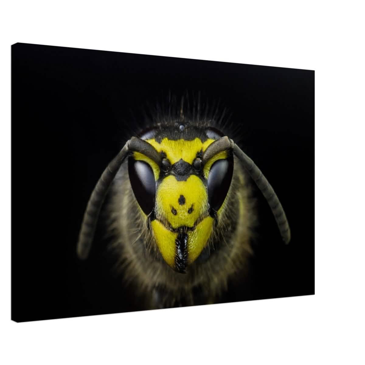 Da Vinci Animal Kingdom Art Wall art print - Canvas - 60x90 cm / 24x36″ -