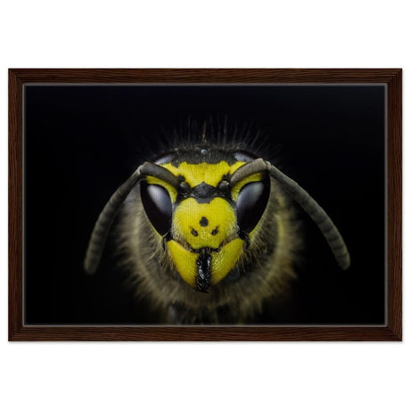 Da Vinci Animal Kingdom Art Wall art print - Framed Canvas - 40x60 cm / 16x24″ - Dark wood frame