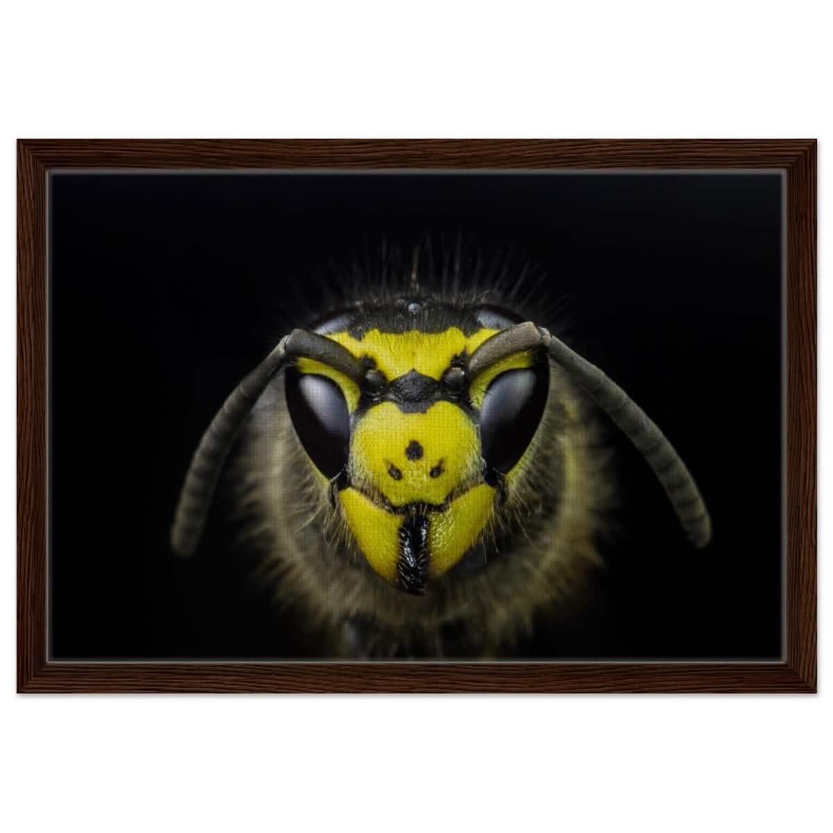 Da Vinci Animal Kingdom Art Wall art print - Framed Canvas - 40x60 cm / 16x24″ - Dark wood frame