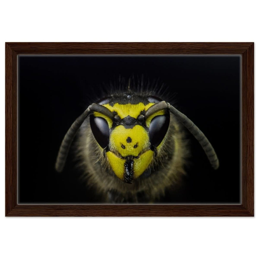 Da Vinci Animal Kingdom Art Wall art print - Framed Canvas - 30x45 cm / 12x18″ - Dark wood frame