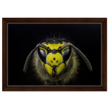 Da Vinci Animal Kingdom Art Wall art print - Framed Canvas - 30x45 cm / 12x18″ - Dark wood frame