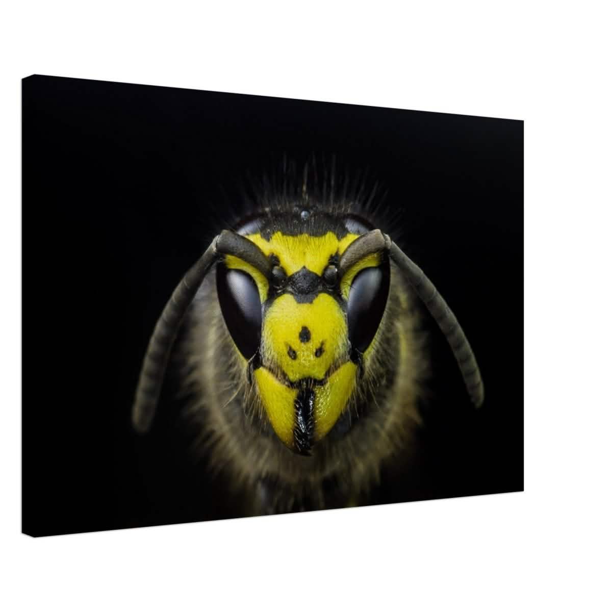 Da Vinci Animal Kingdom Art Wall art print - Canvas - 50x75 cm / 20x30″ -