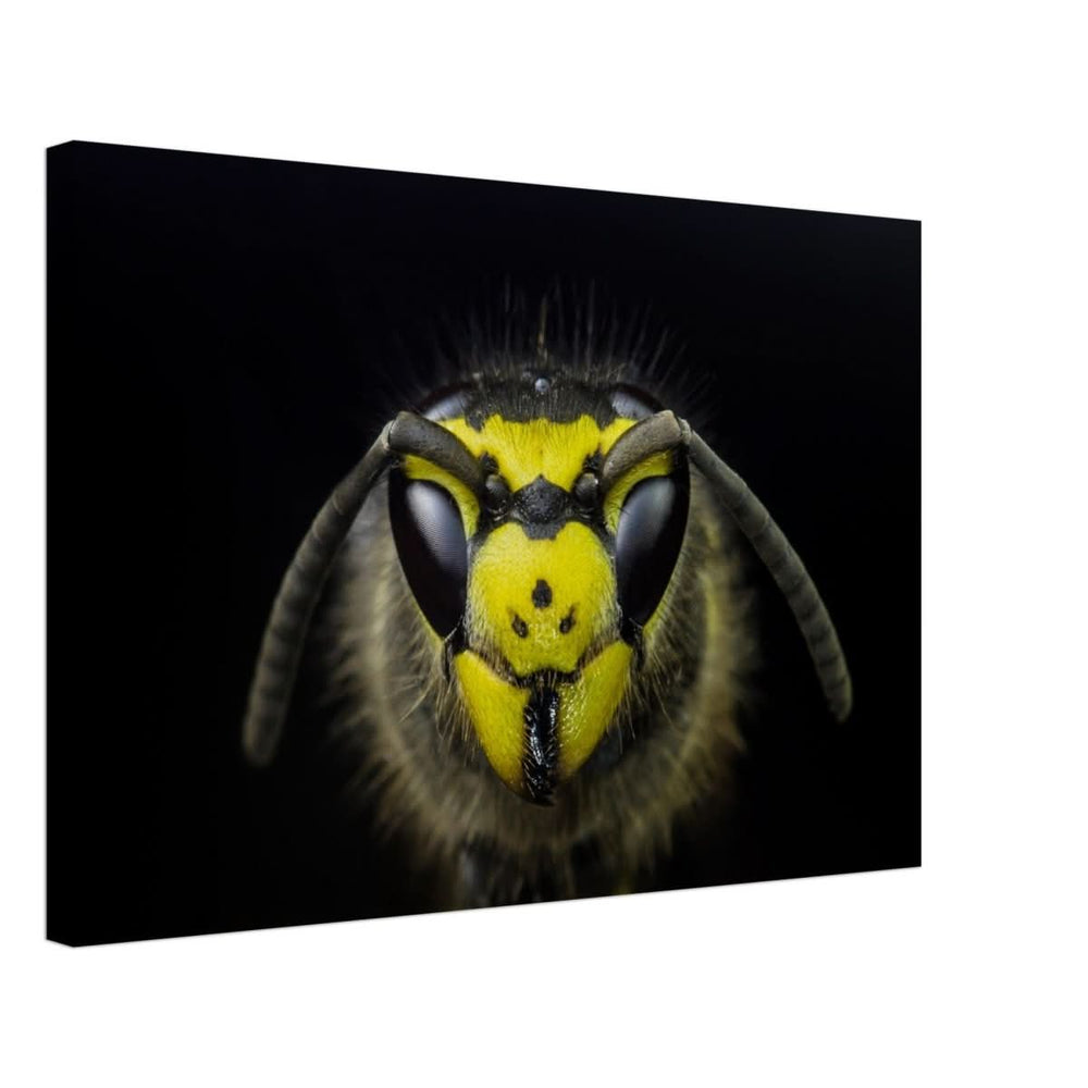 Da Vinci Animal Kingdom Art Wall art print - Canvas - 40x60 cm / 16x24″ -