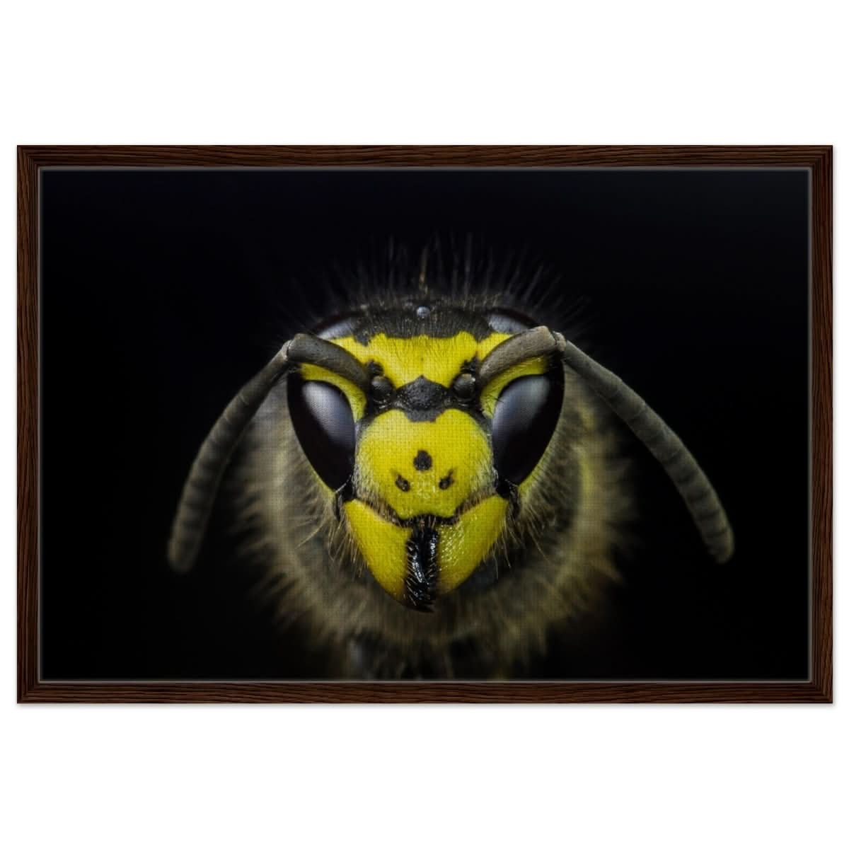 Da Vinci Animal Kingdom Art Wall art print - Framed Canvas - 60x90 cm / 24x36″ - Dark wood frame