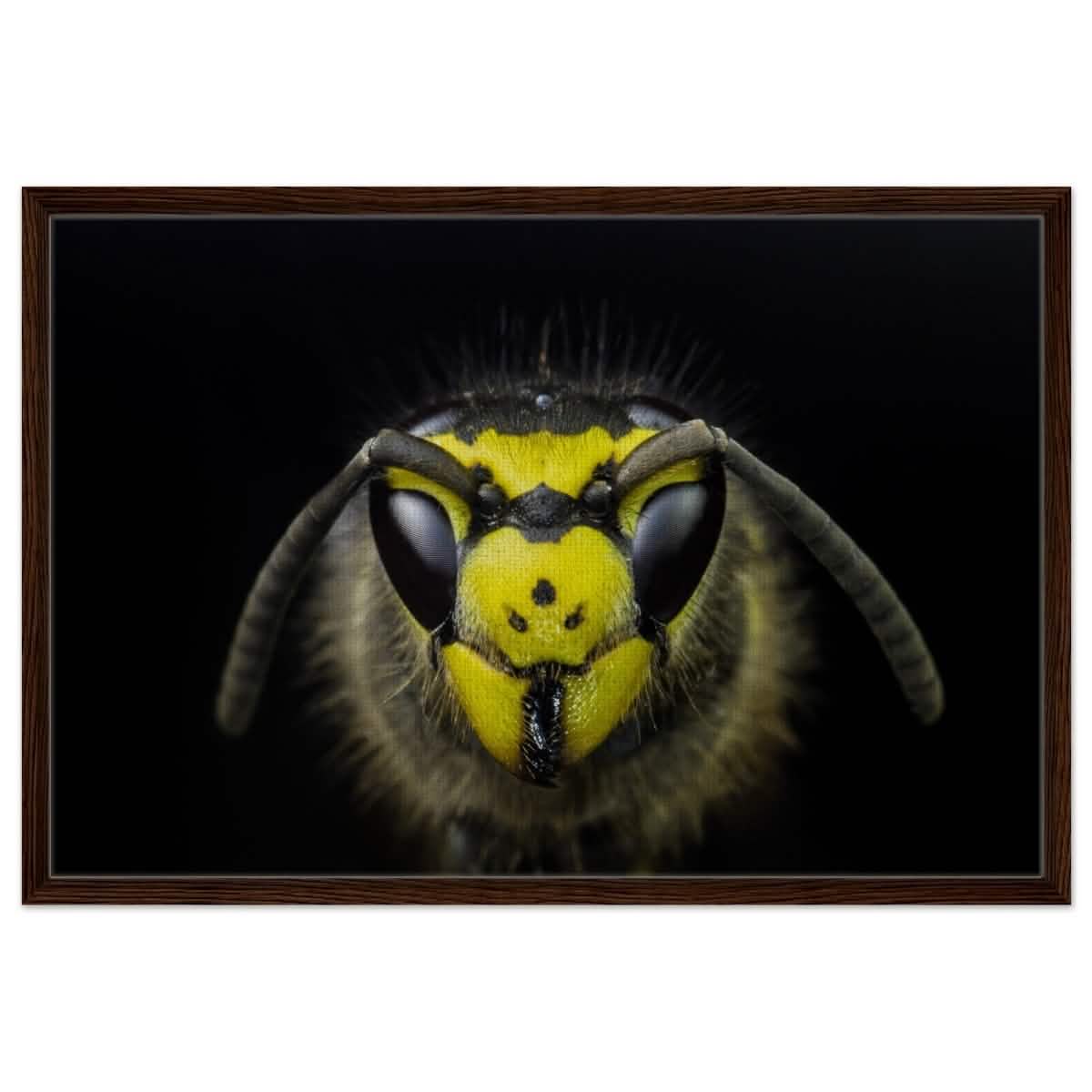 Da Vinci Animal Kingdom Art Wall art print - Framed Canvas - 60x90 cm / 24x36″ - Dark wood frame