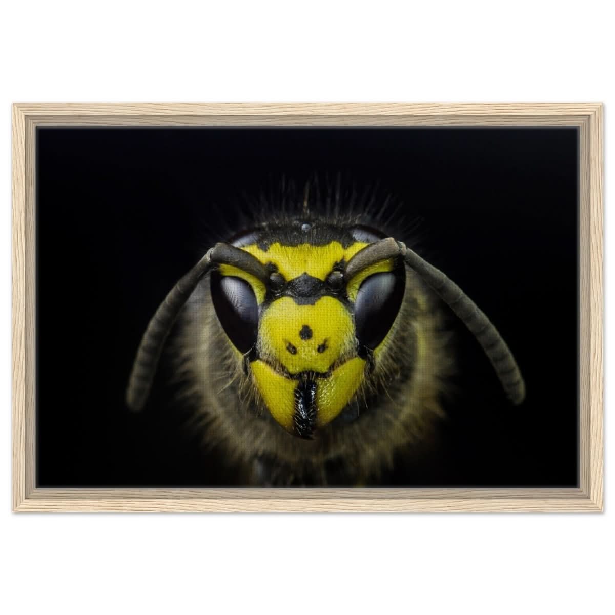 Da Vinci Animal Kingdom Art Wall art print - Framed Canvas - 40x60 cm / 16x24″ - Wood frame