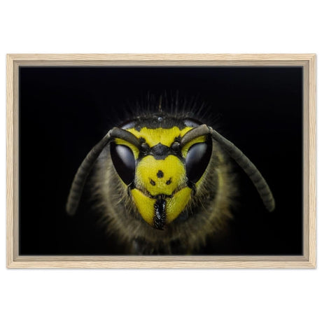 Da Vinci Animal Kingdom Art Wall art print - Framed Canvas - 40x60 cm / 16x24″ - Wood frame