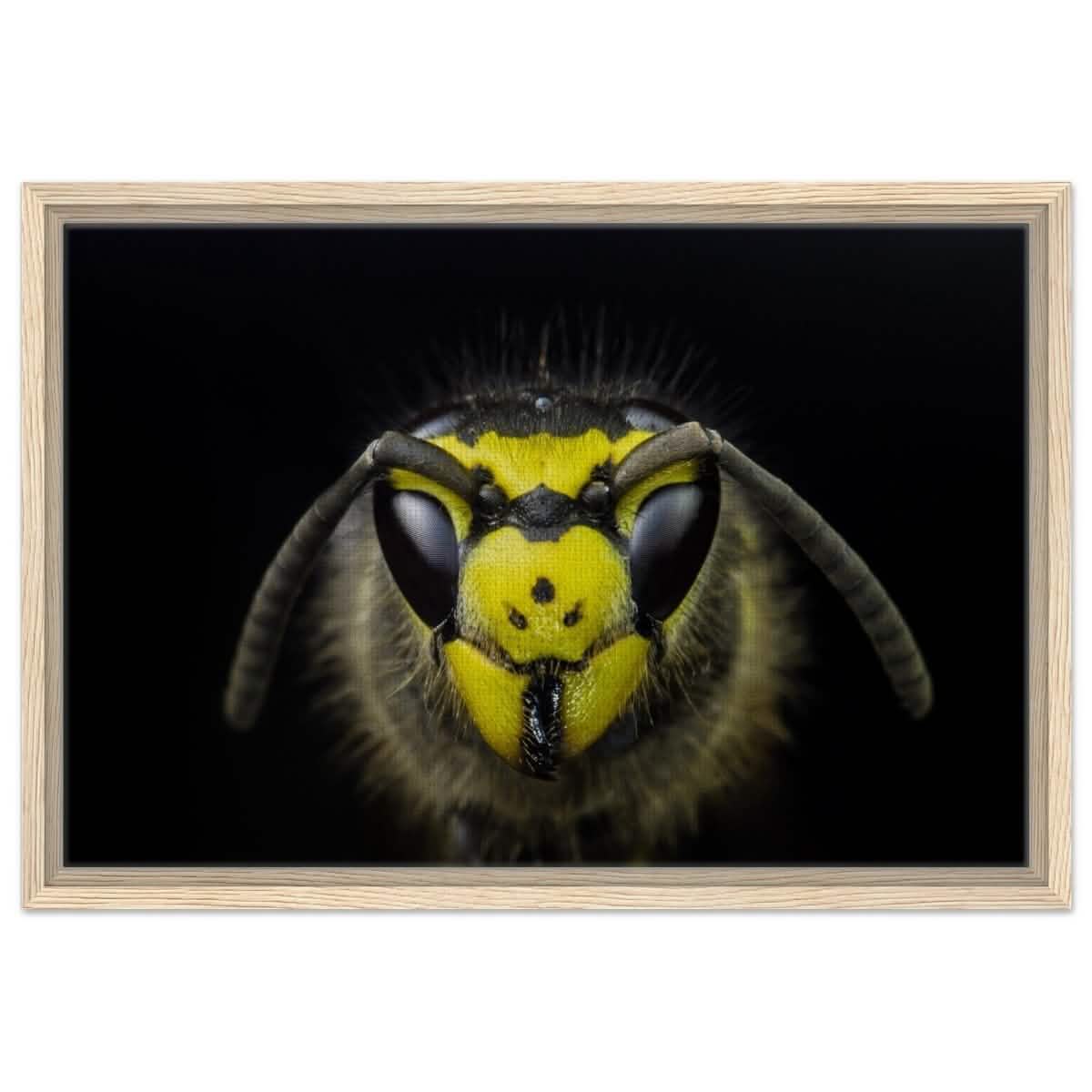 Da Vinci Animal Kingdom Art Wall art print - Framed Canvas - 40x60 cm / 16x24″ - Wood frame