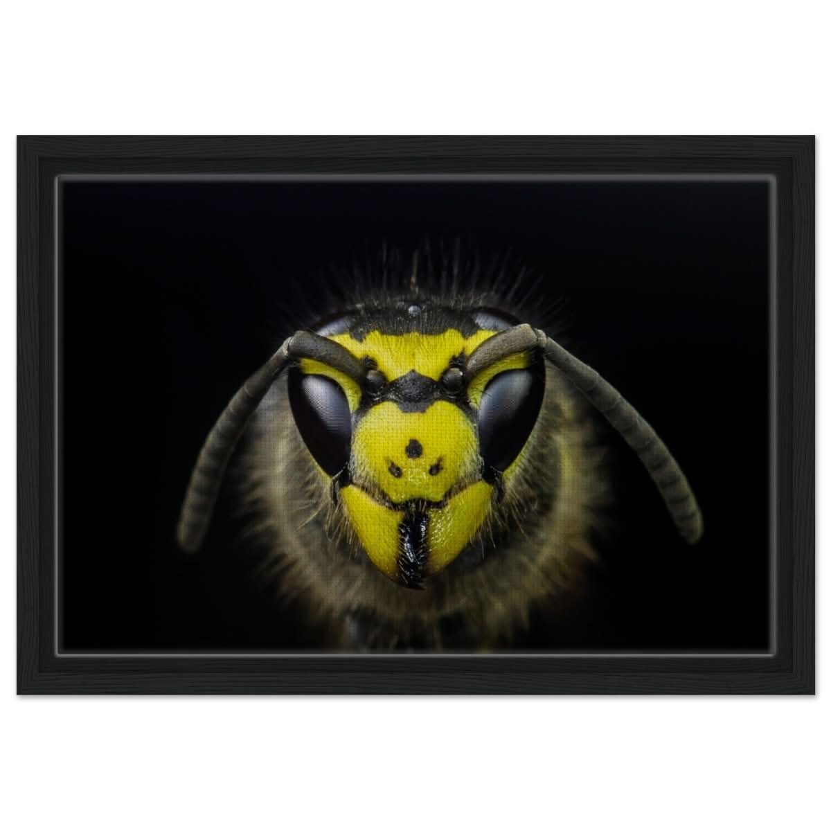 Da Vinci Animal Kingdom Art Wall art print - Framed Canvas - 30x45 cm / 12x18″ - Black frame