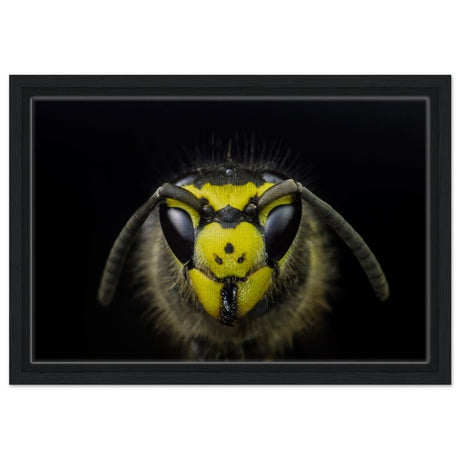 Da Vinci Animal Kingdom Art Wall art print - Framed Canvas - 30x45 cm / 12x18″ - Black frame