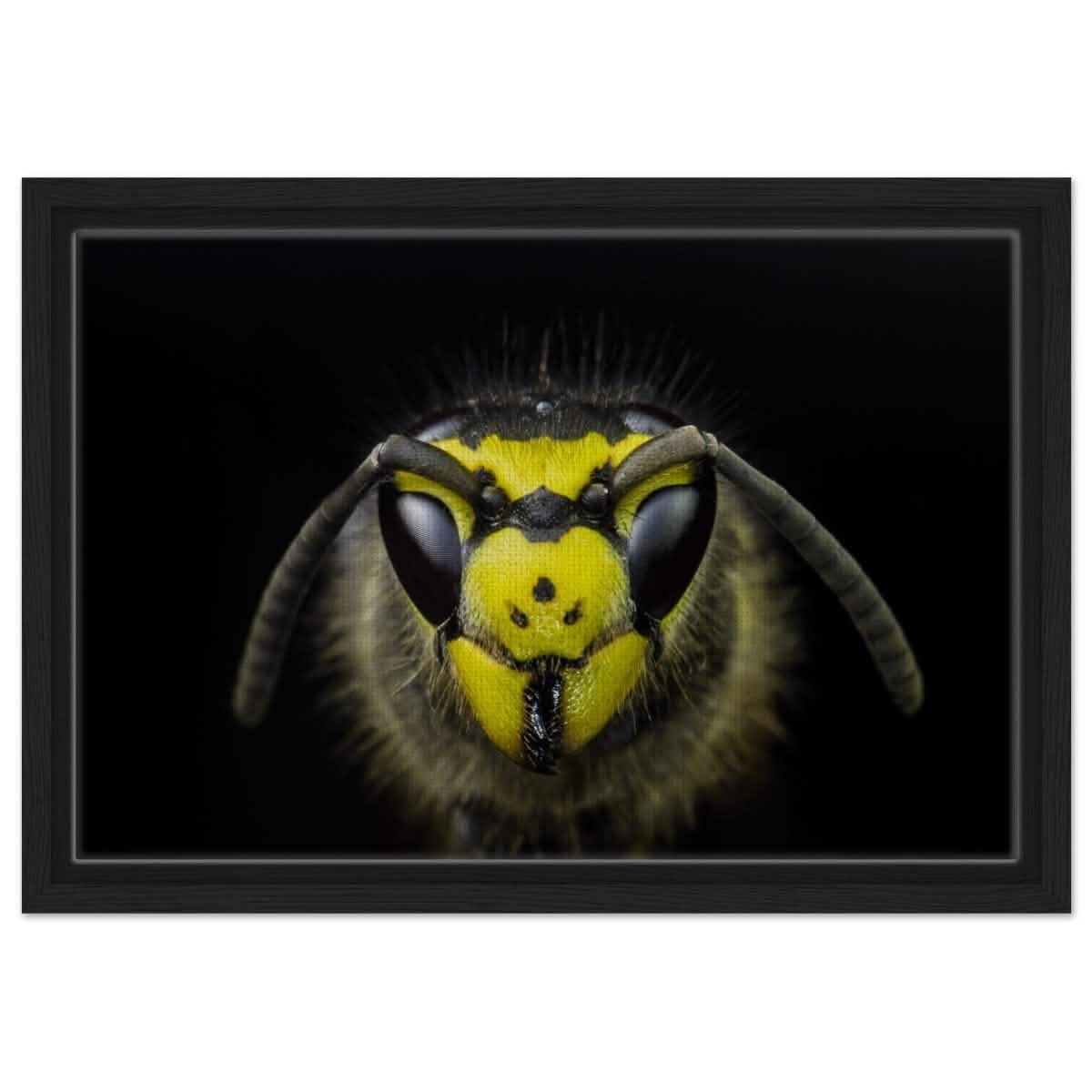 Da Vinci Animal Kingdom Art Wall art print - Framed Canvas - 30x45 cm / 12x18″ - Black frame