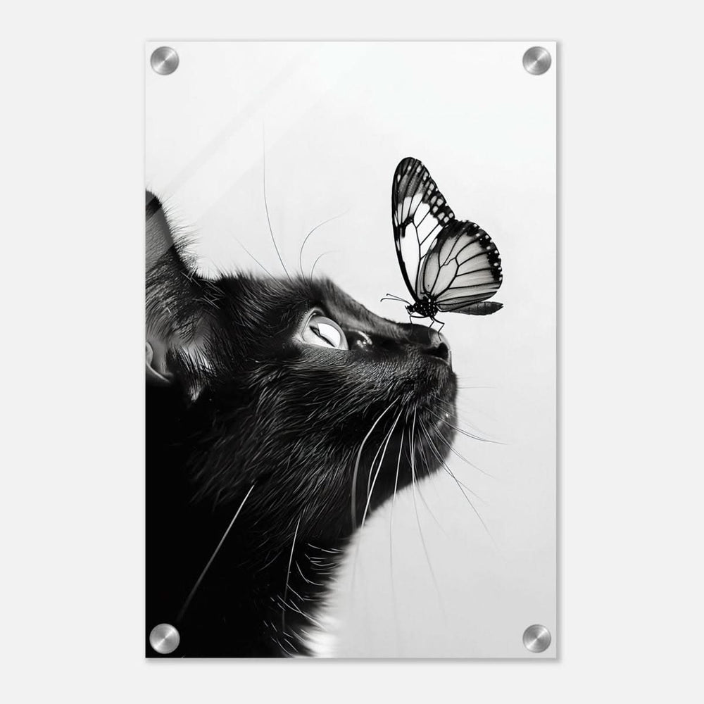 Da Vinci Animal Kingdom Wall art | Cat Butterfly - Acrylic Print - 30x45 cm / 12x18″ -