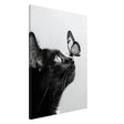 Da Vinci Animal Kingdom Wall art | Cat Butterfly - Canvas - 70x100 cm / 28x40″ - Slim