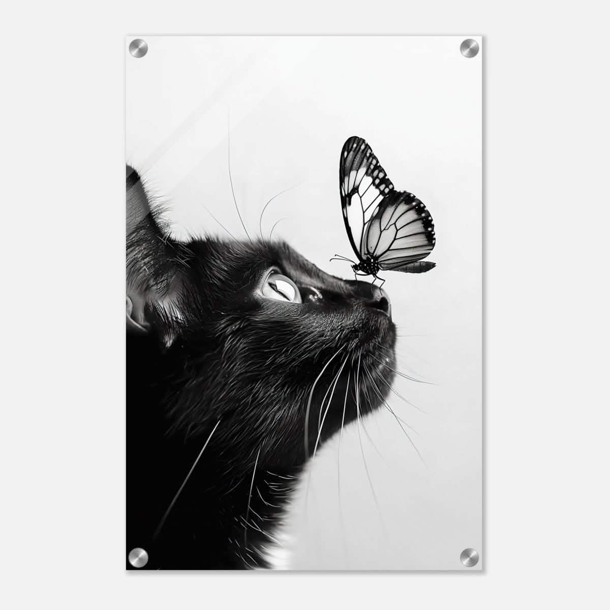 Da Vinci Animal Kingdom Wall art | Cat Butterfly - Acrylic Print - 40x60 cm / 16x24″ -