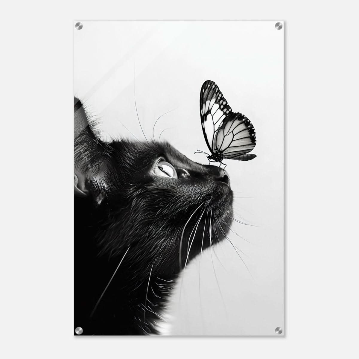 Da Vinci Animal Kingdom Wall art | Cat Butterfly - Acrylic Print - 60x90 cm / 24x36″ -